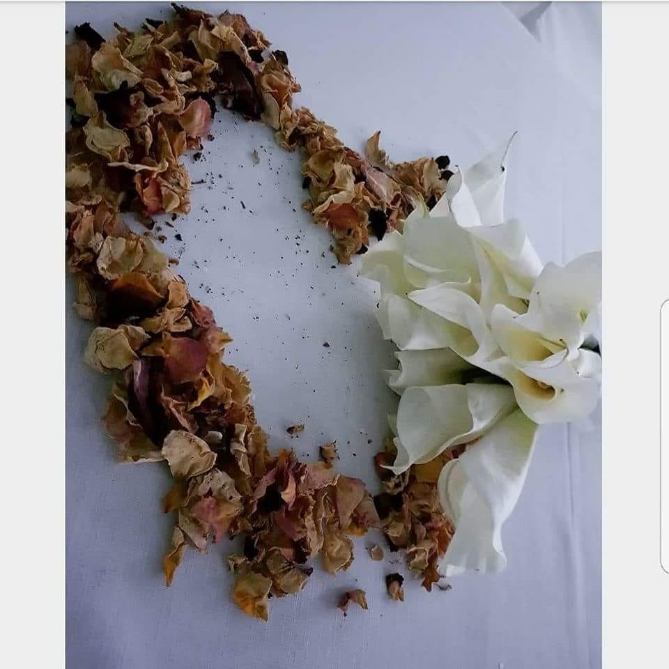 PHOTO-2018-07-20-11-23-23